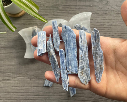 Raw Blue Kyanite Crystal Blades (25g) example