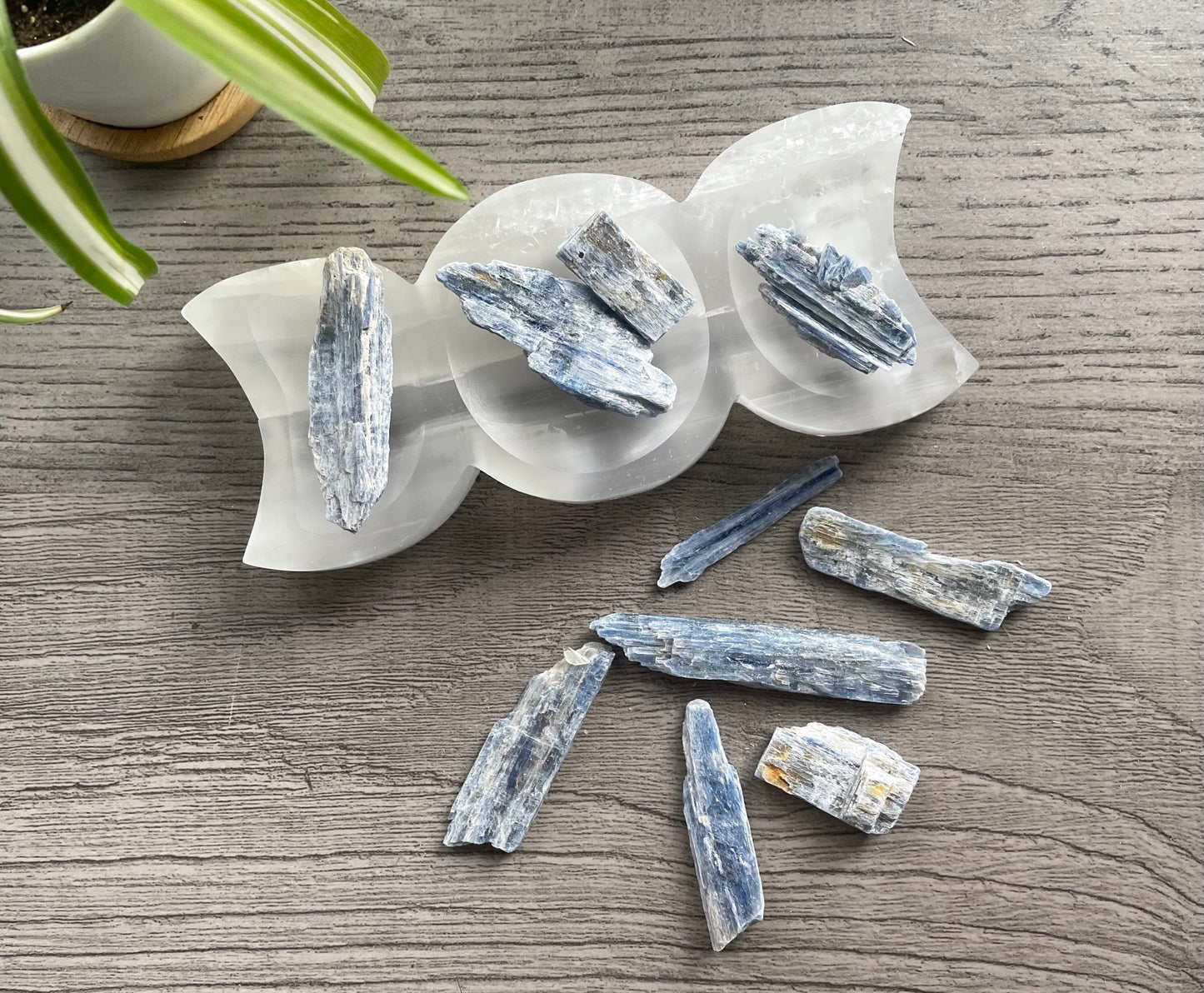 Raw Blue Kyanite Crystal Blades (25g)