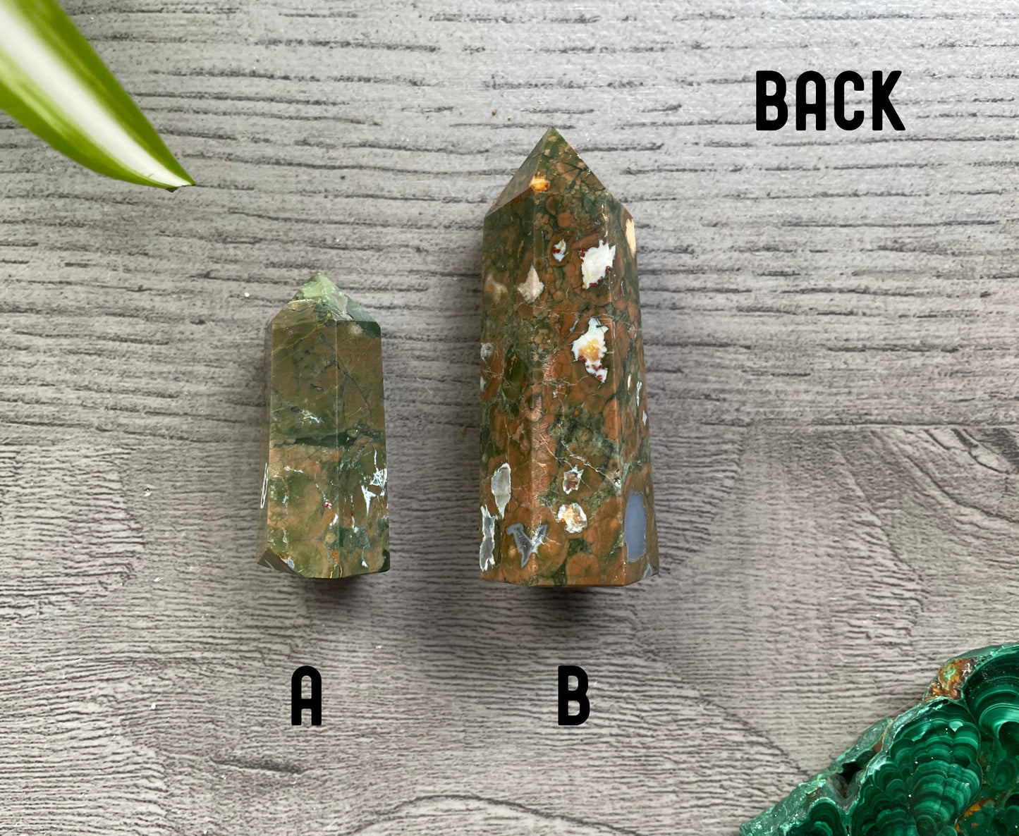 Rainforest Jasper Crystal Point back