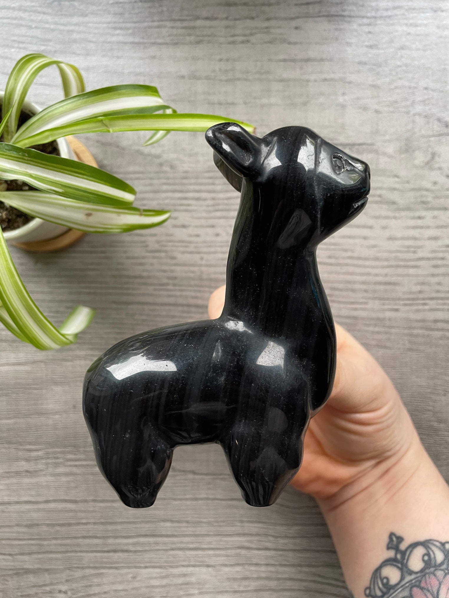 Obsidian Alpaca / Llama Crystal Carving side 2