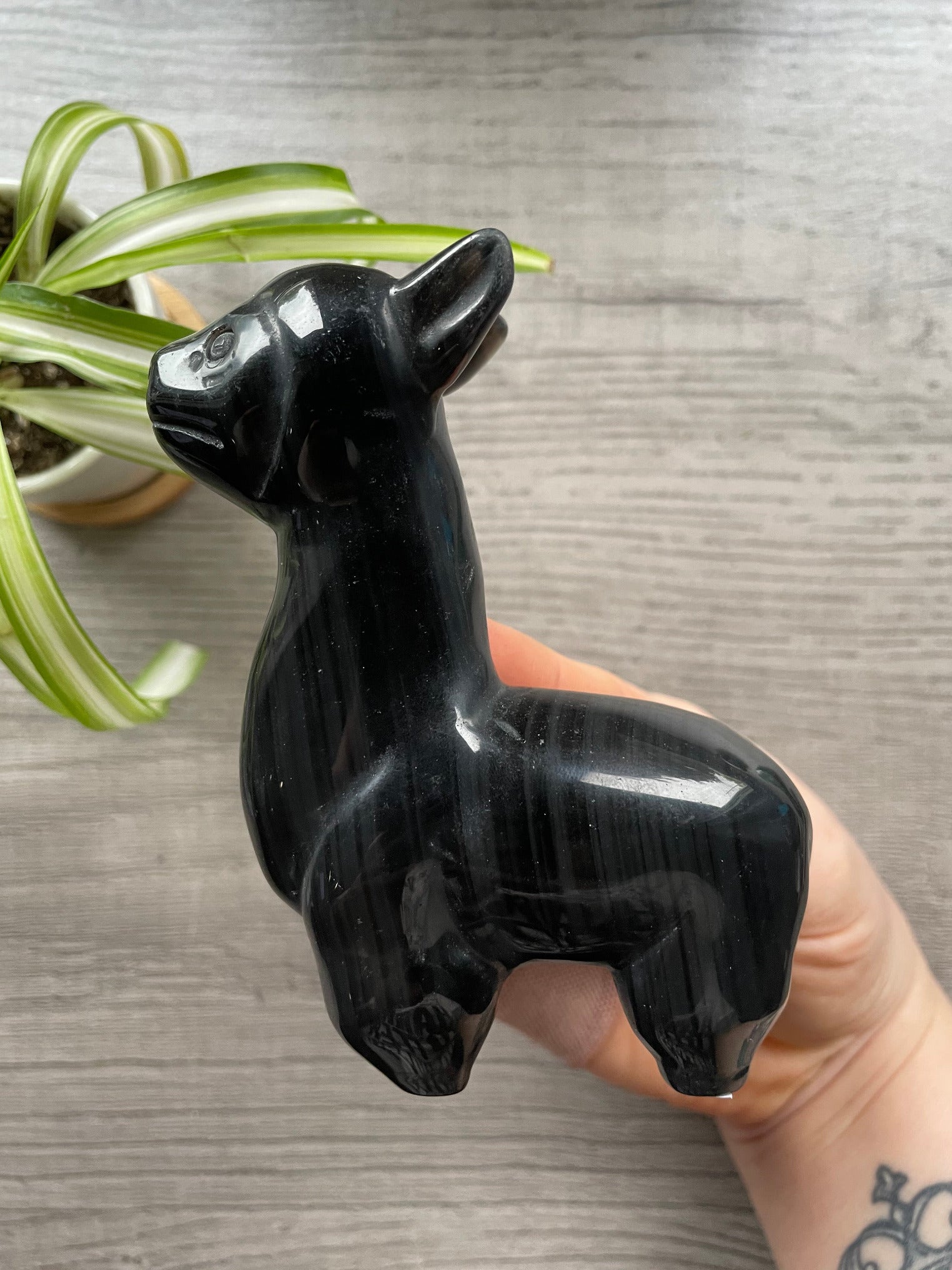 Obsidian Alpaca / Llama Crystal Carving side