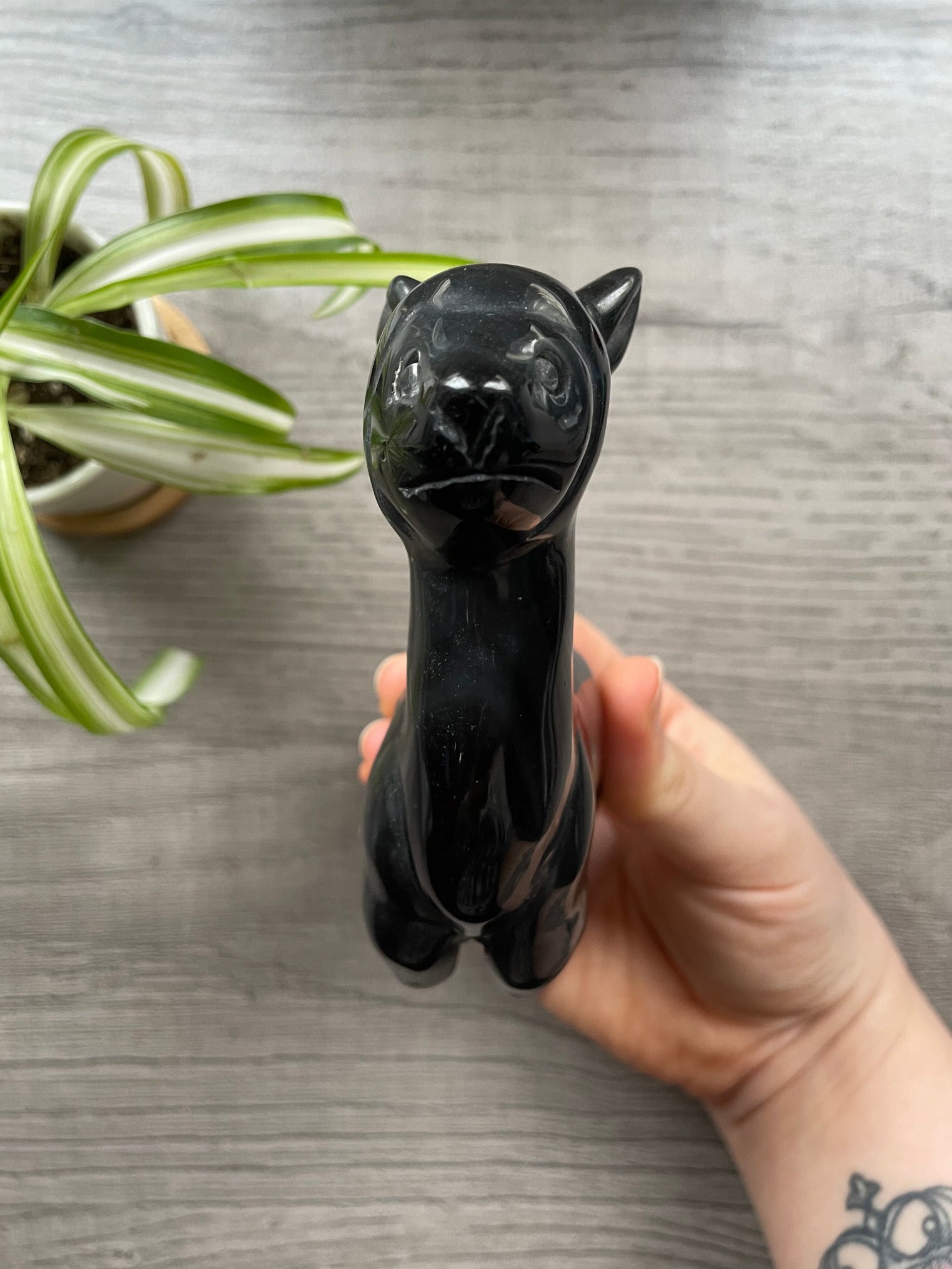 Obsidian Alpaca / Llama Crystal Carving front