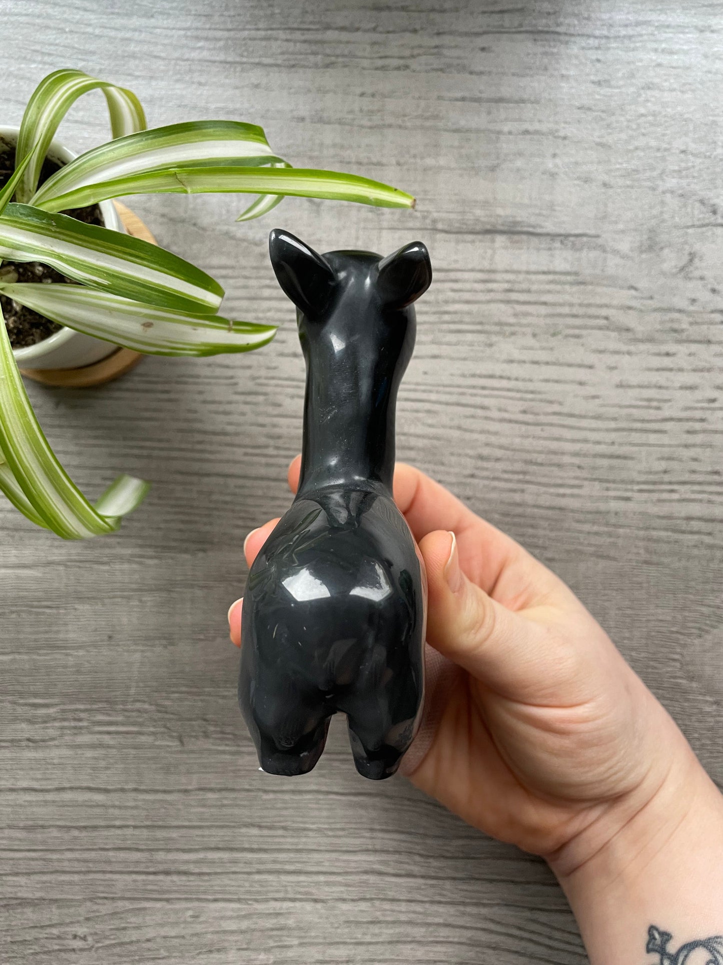 Obsidian Alpaca / Llama Crystal Carving back