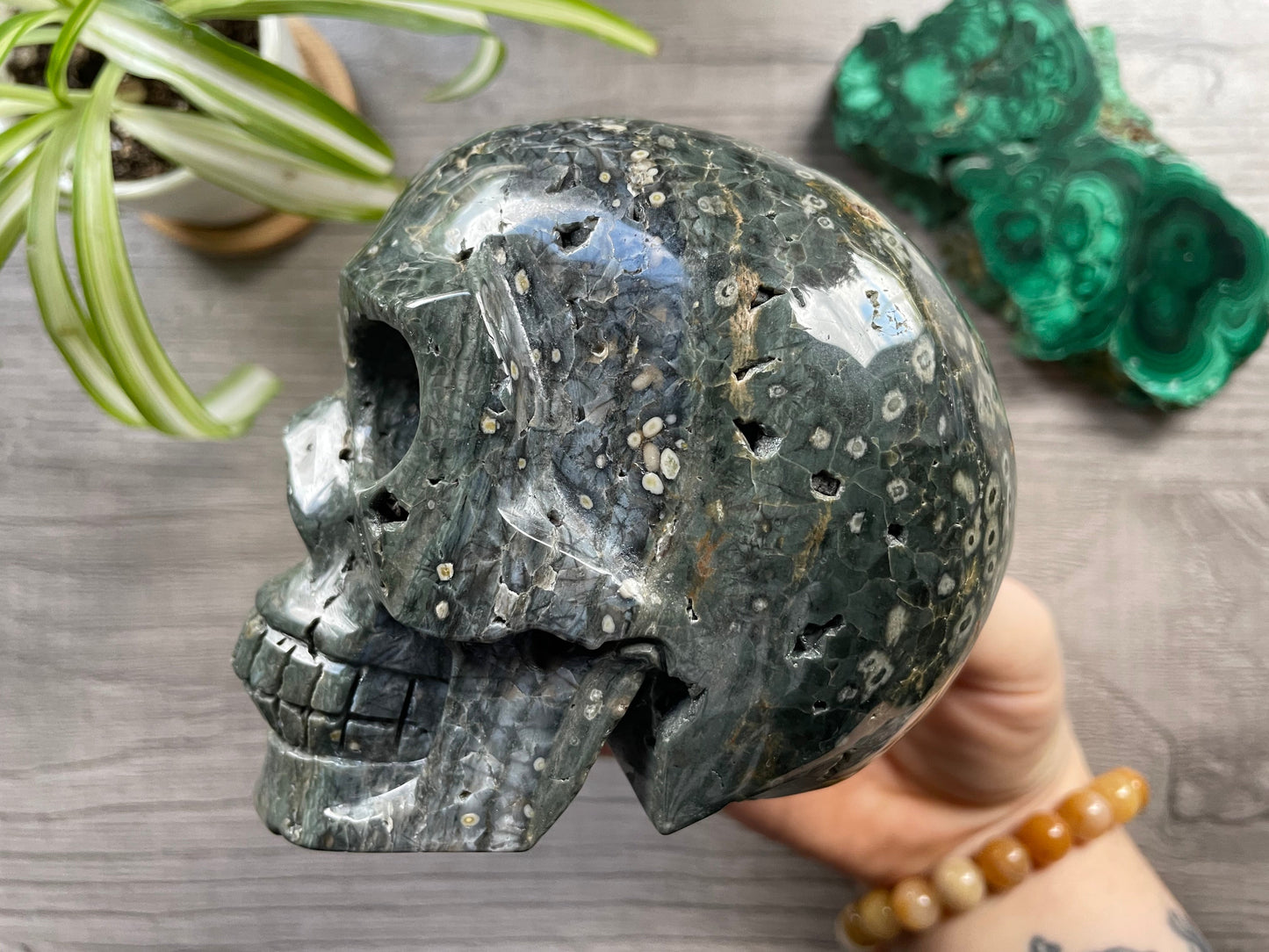 Pictured is a large skull carved out of ocean jasper or river jasper. Ocean Jasper Crystal Skull .95kg - The Wandering Fox Emporium, Your Metaphysical Store