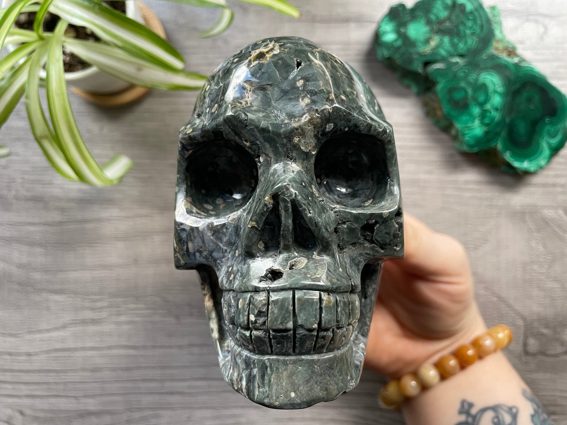 Pictured is a large skull carved out of ocean jasper or river jasper. Ocean Jasper Crystal Skull .95kg - The Wandering Fox Emporium, Your Metaphysical Store front