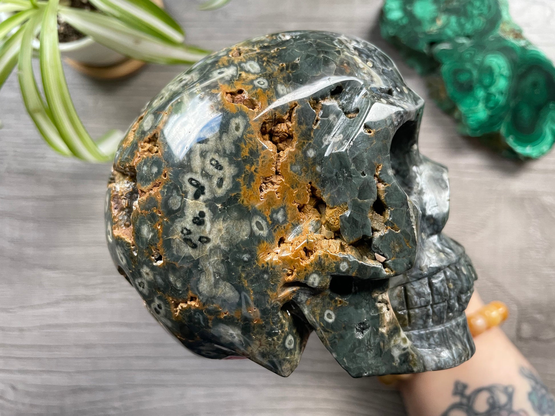 Pictured is a large skull carved out of ocean jasper or river jasper. Ocean Jasper Crystal Skull .95kg - The Wandering Fox Emporium, Your Metaphysical Store side