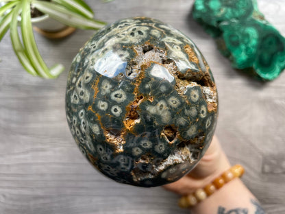 Pictured is a large skull carved out of ocean jasper or river jasper. Ocean Jasper Crystal Skull .95kg - The Wandering Fox Emporium, Your Metaphysical Store close up