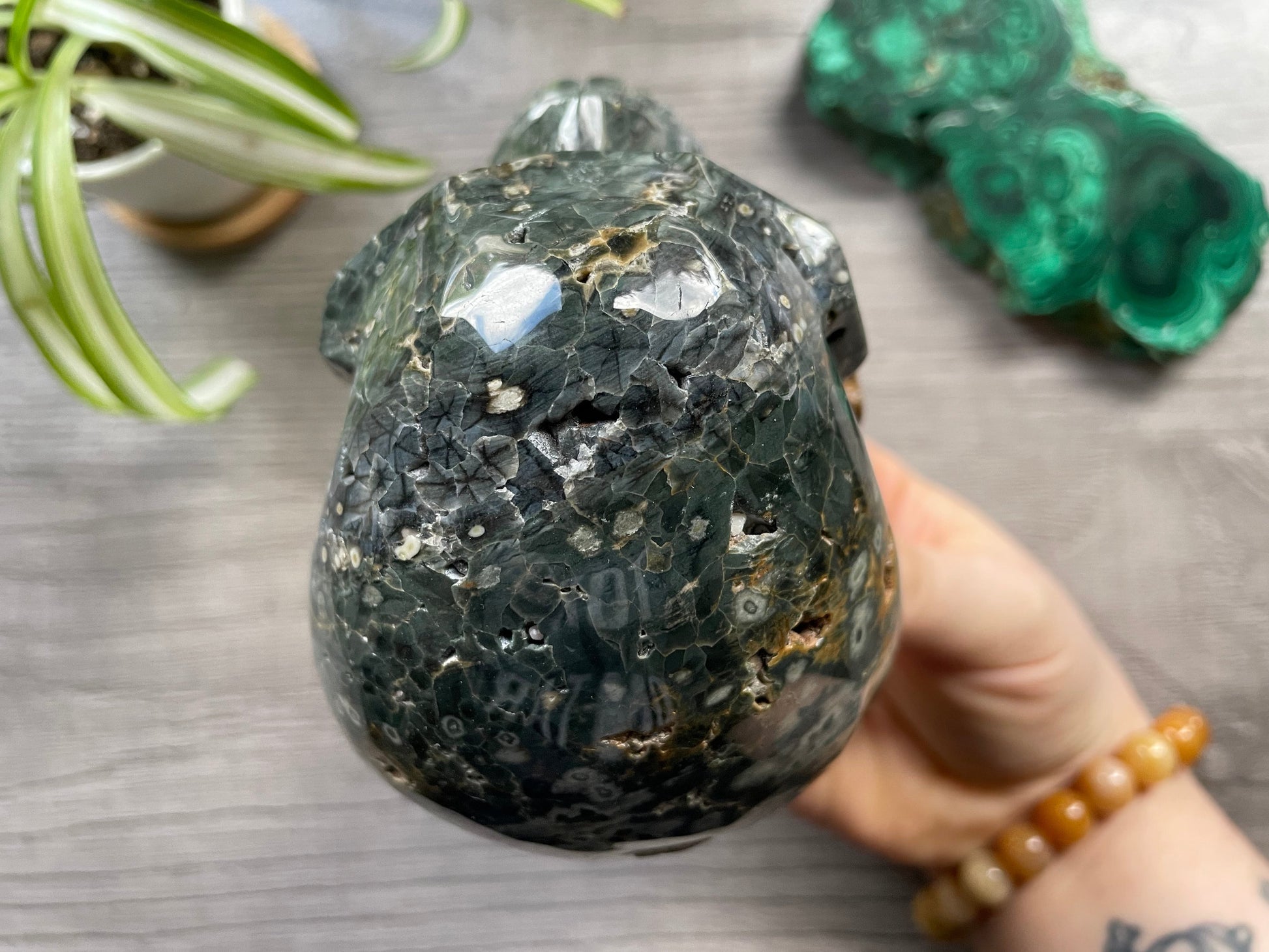 Pictured is a large skull carved out of ocean jasper or river jasper. Ocean Jasper Crystal Skull .95kg - The Wandering Fox Emporium, Your Metaphysical Store top