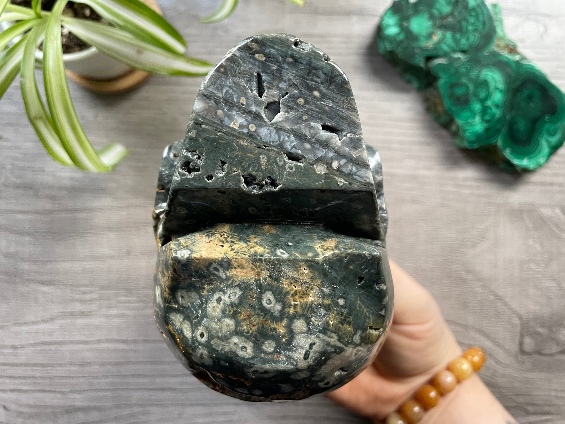 Pictured is a large skull carved out of ocean jasper or river jasper. Ocean Jasper Crystal Skull .95kg - The Wandering Fox Emporium, Your Metaphysical Store bottom