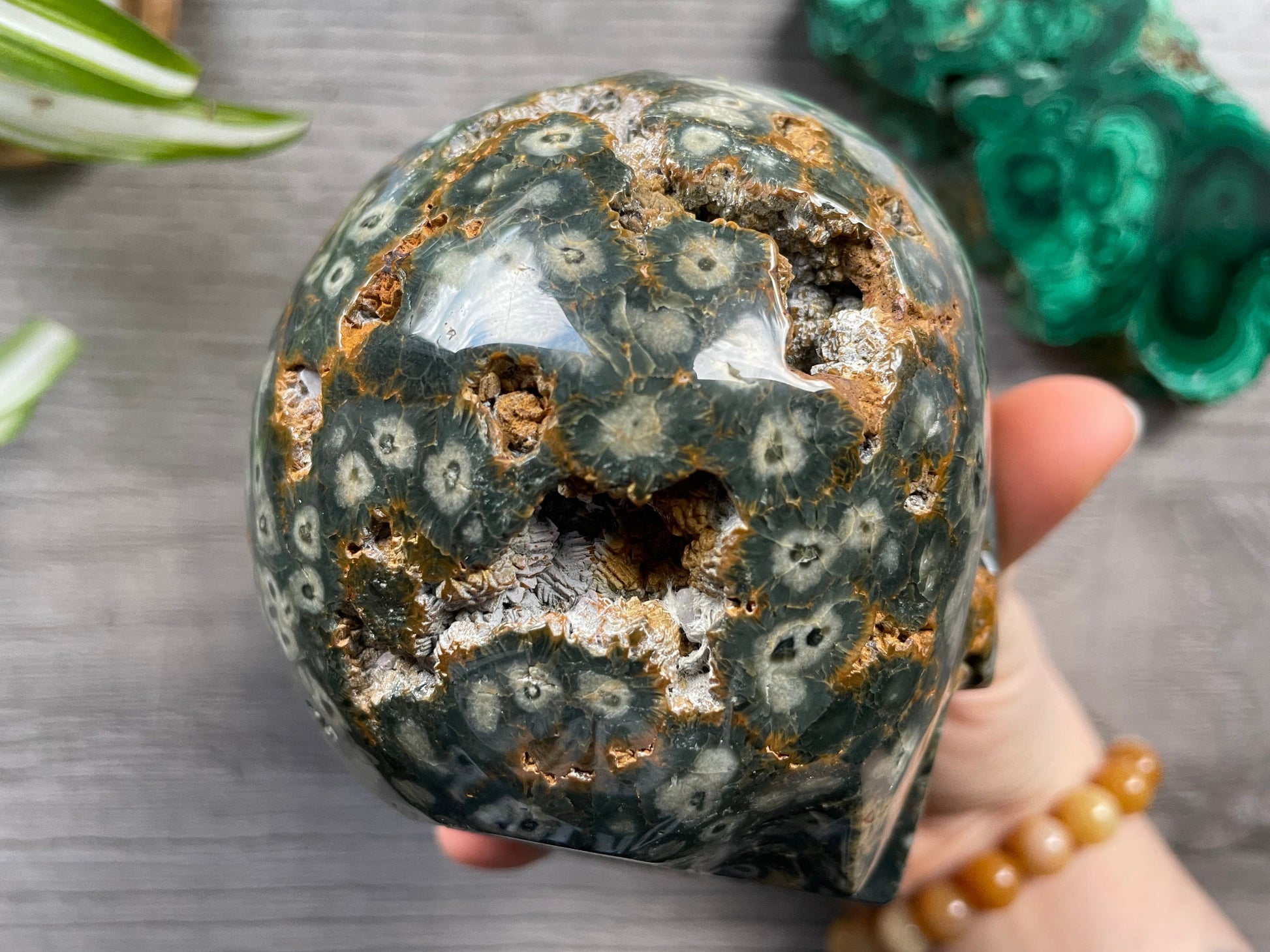 Pictured is a large skull carved out of ocean jasper or river jasper. Ocean Jasper Crystal Skull .95kg - The Wandering Fox Emporium, Your Metaphysical Store