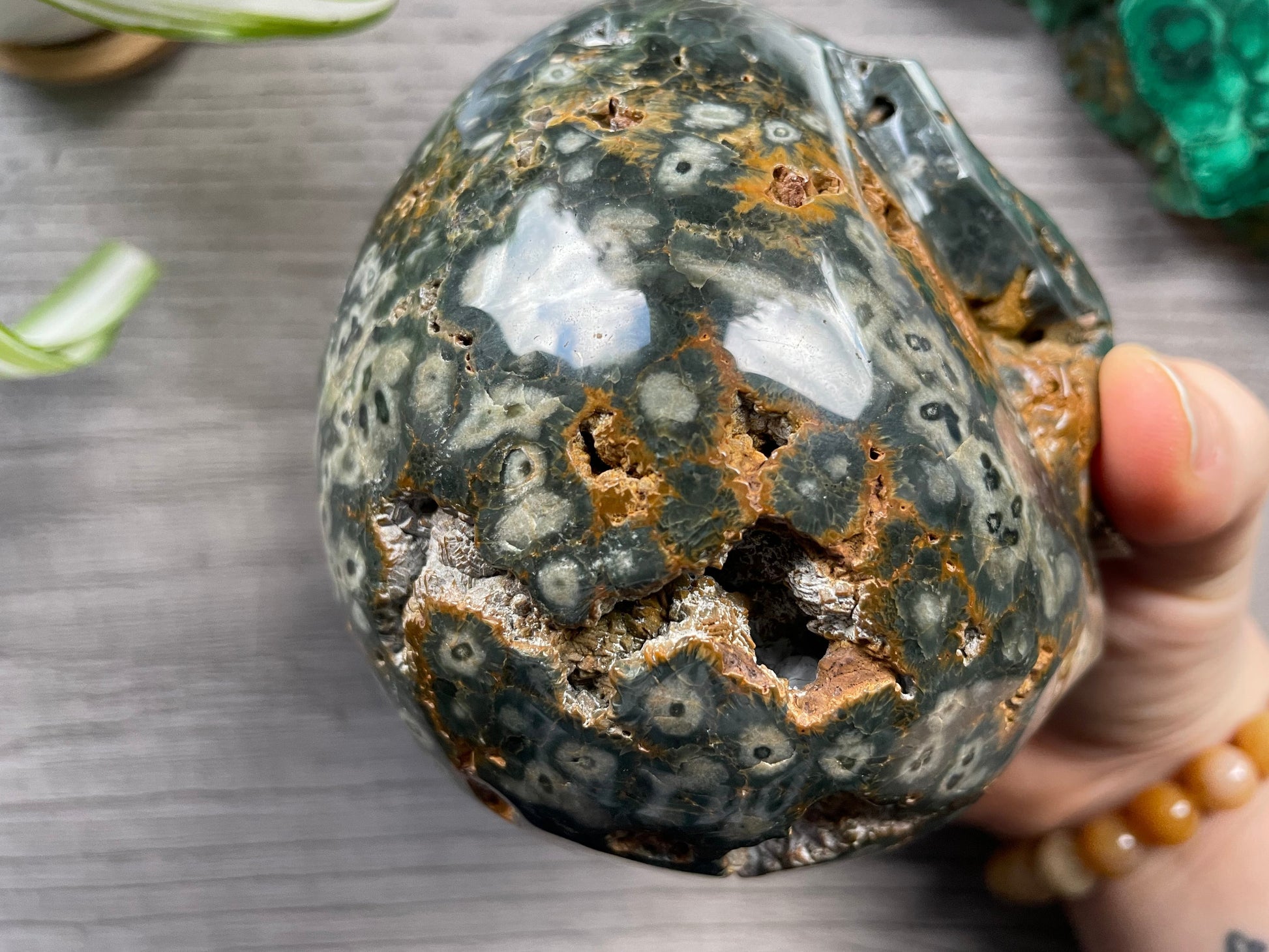 Pictured is a large skull carved out of ocean jasper or river jasper. Ocean Jasper Crystal Skull .95kg - The Wandering Fox Emporium, Your Metaphysical Store