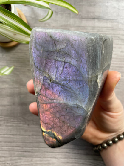 Pictured is a large labradorite freeform with a purple flash. Purple/Pink Flash Labradorite Freeform .65kg - The Wandering Fox Emporium, Your Crystal Store down