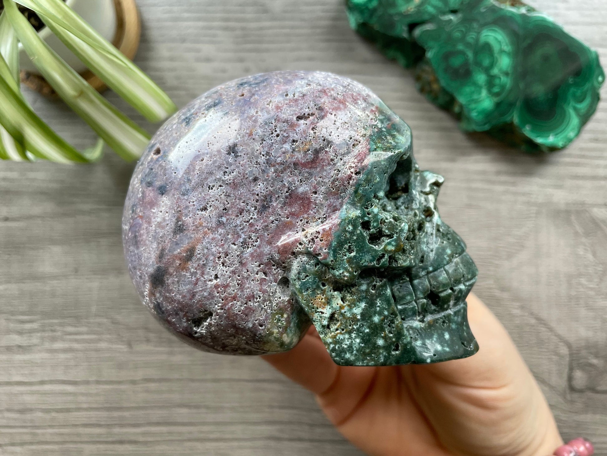 Pictured is a large skull carved out of ocean jasper or river jasper. Ocean Jasper Crystal Skull .55kg - The Wandering Fox Emporium, Your Metaphysical Store