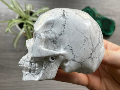 Howlite Crystal Skull .55kg - The Wandering Fox Emporium, Your Metaphysical Store