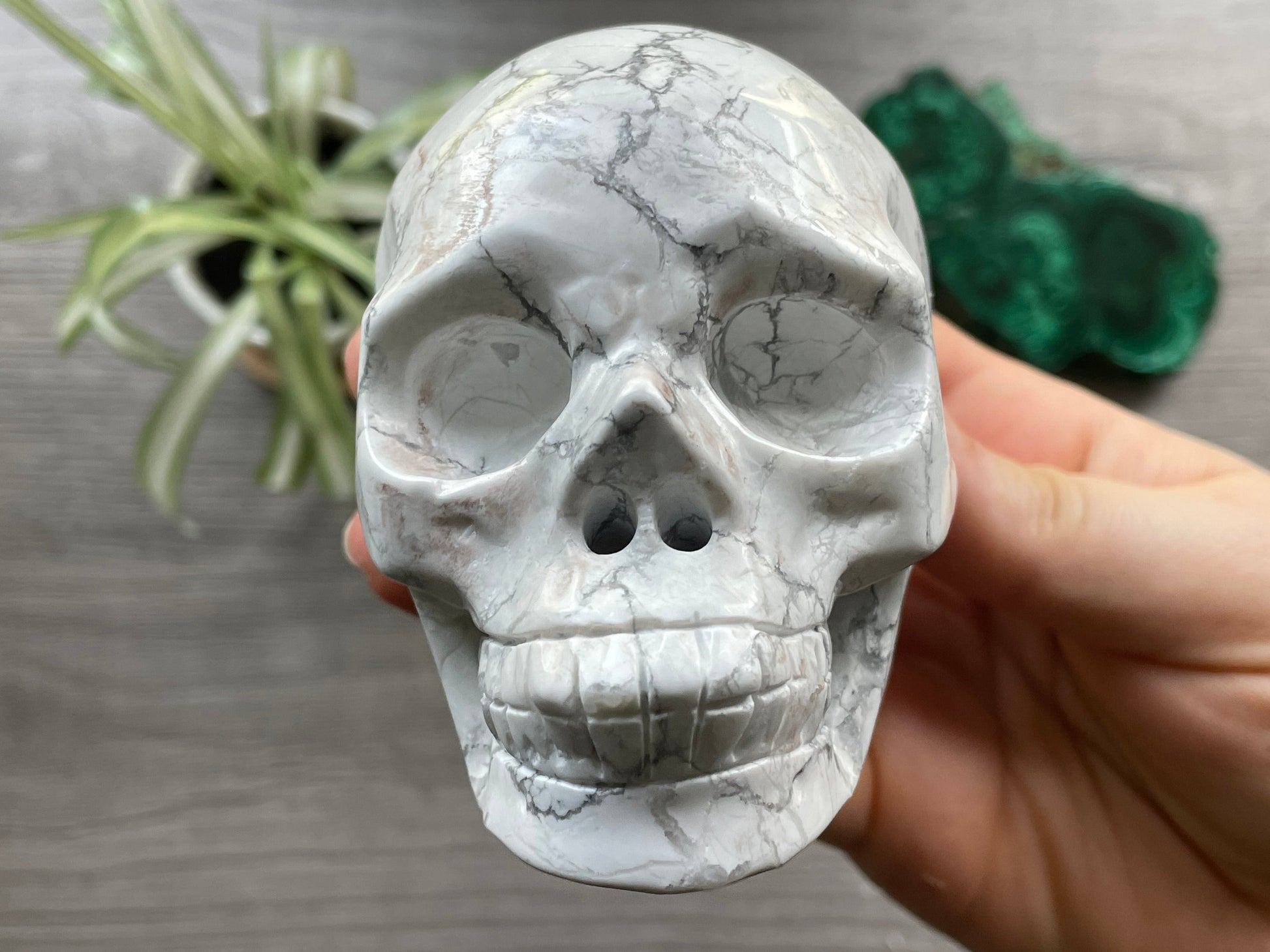 Howlite Crystal Skull .55kg - The Wandering Fox Emporium, Your Metaphysical Store front