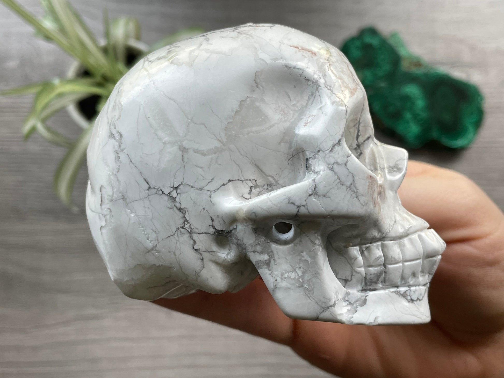 Howlite Crystal Skull .55kg - The Wandering Fox Emporium, Your Metaphysical Store side