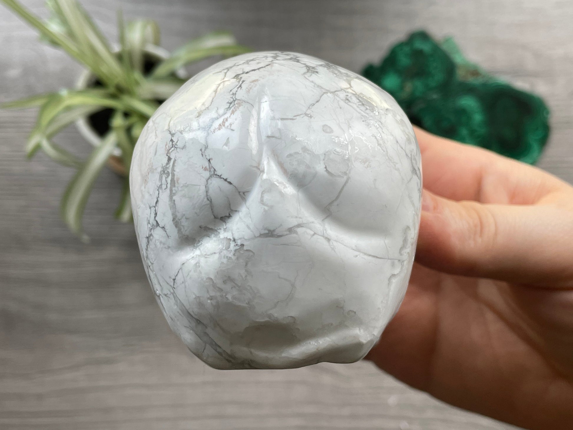 Howlite Crystal Skull .55kg - The Wandering Fox Emporium, Your Metaphysical Store back