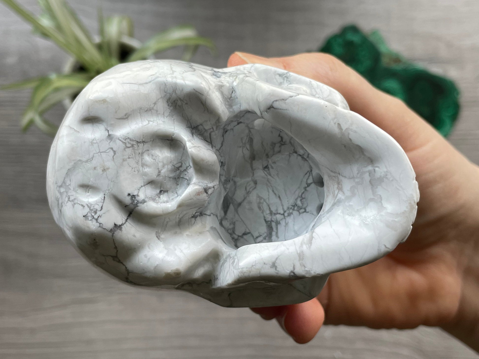 Howlite Crystal Skull .55kg - The Wandering Fox Emporium, Your Metaphysical Store bottom