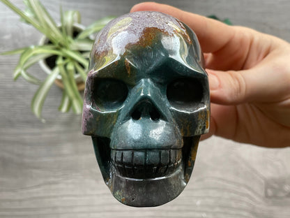 Pictured is a large skull carved out of ocean jasper or river jasper. Ocean Jasper Crystal Skull .65kg - The Wandering Fox Emporium, Your Metaphysical Store front