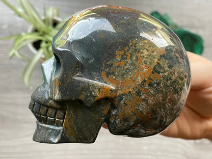 Pictured is a large skull carved out of ocean jasper or river jasper. Ocean Jasper Crystal Skull .65kg - The Wandering Fox Emporium, Your Metaphysical Store side 2