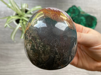 Pictured is a large skull carved out of ocean jasper or river jasper. Ocean Jasper Crystal Skull .65kg - The Wandering Fox Emporium, Your Metaphysical Store back