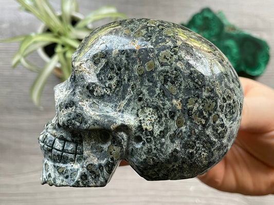 Kambaba Jasper Crystal Skull .55kg - The Wandering Fox Emporium, Your Metaphysical Store