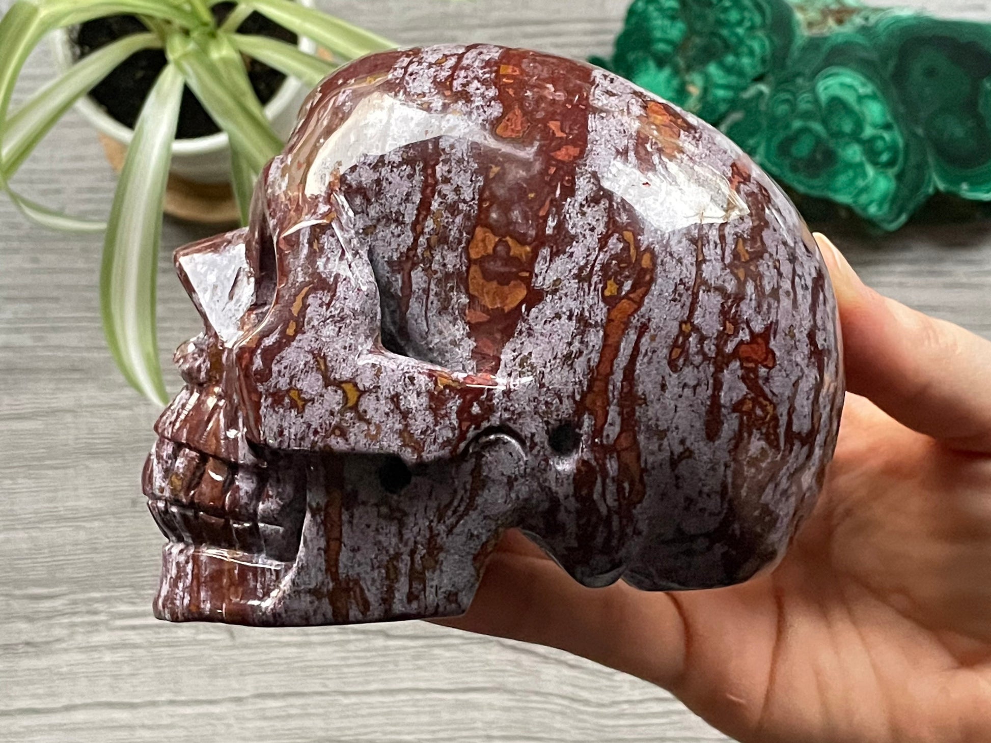 Pictured is a large skull carved out of ocean jasper or river jasper. Ocean Jasper Crystal Skull .95kg - The Wandering Fox Emporium, Your Metaphysical Store side