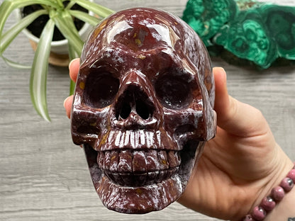 Pictured is a large skull carved out of ocean jasper or river jasper. Ocean Jasper Crystal Skull .95kg - The Wandering Fox Emporium, Your Metaphysical Store front