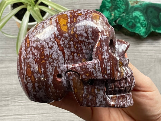 Ocean Jasper Crystal Skull .95kg - The Wandering Fox Emporium, Your Metaphysical Store