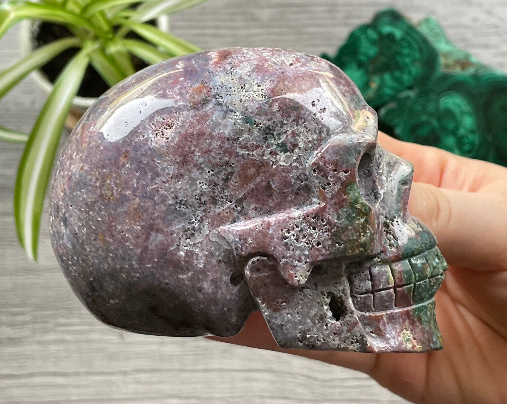 Ocean Jasper Crystal Skull .55kg - The Wandering Fox Emporium, Your Metaphysical Store