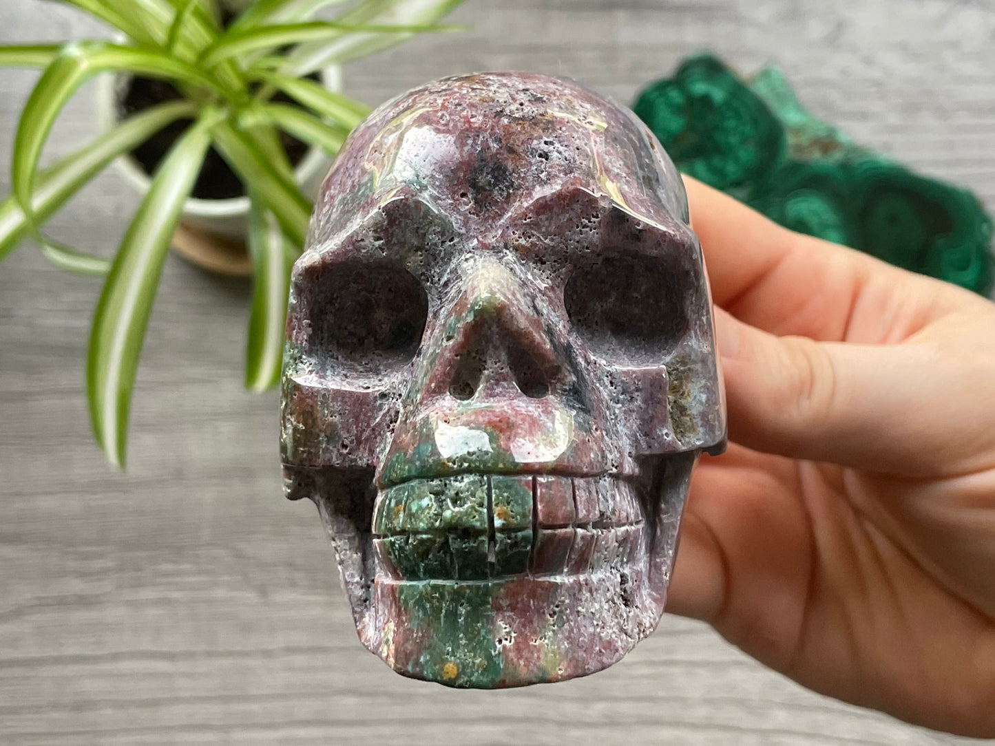 Ocean Jasper Crystal Skull .55kg - The Wandering Fox Emporium, Your Metaphysical Store front