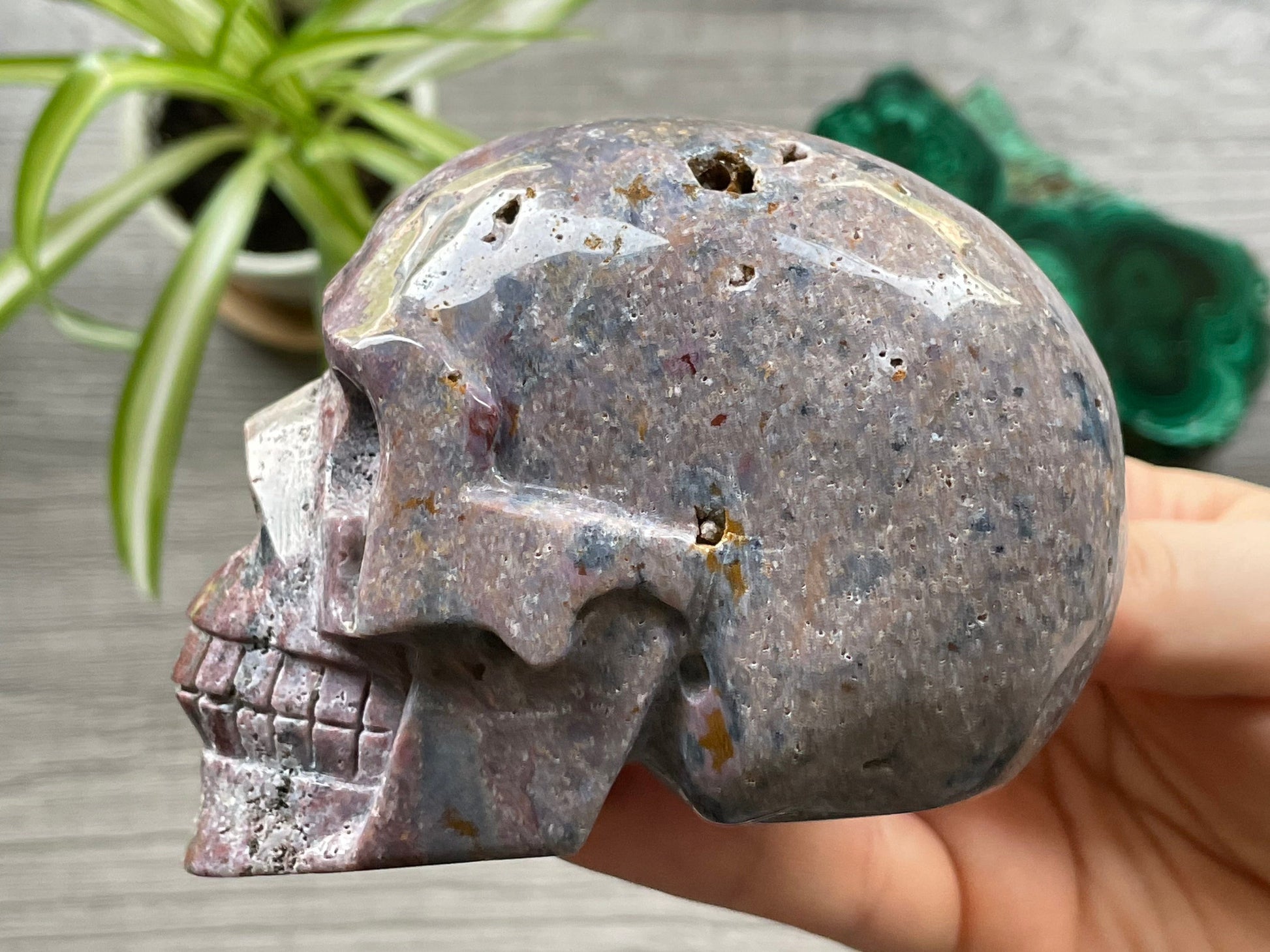 Ocean Jasper Crystal Skull .55kg - The Wandering Fox Emporium, Your Metaphysical Store side