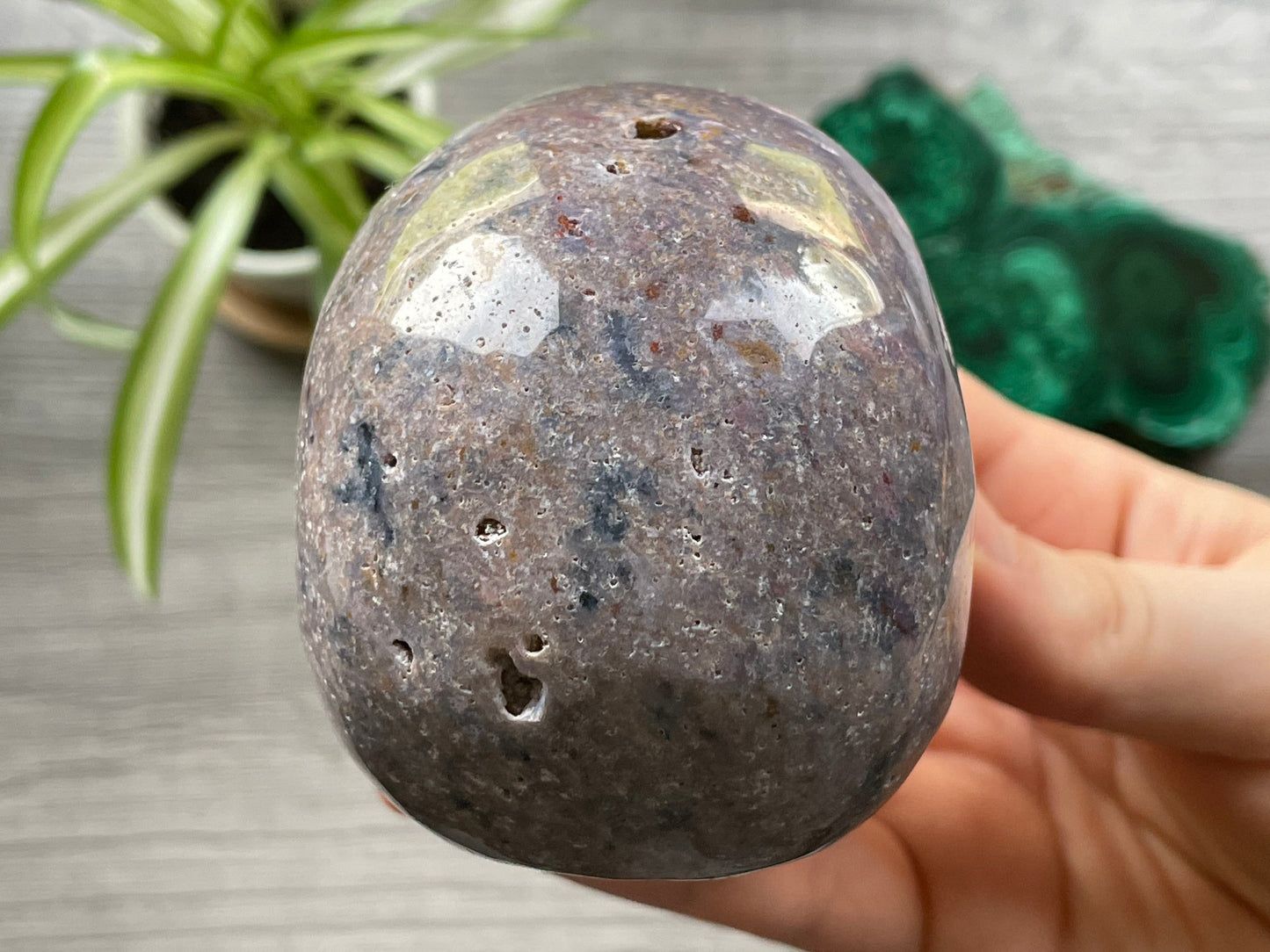 Ocean Jasper Crystal Skull .55kg - The Wandering Fox Emporium, Your Metaphysical Store back