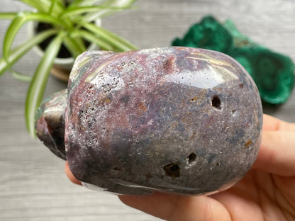 Ocean Jasper Crystal Skull .55kg - The Wandering Fox Emporium, Your Metaphysical Store top