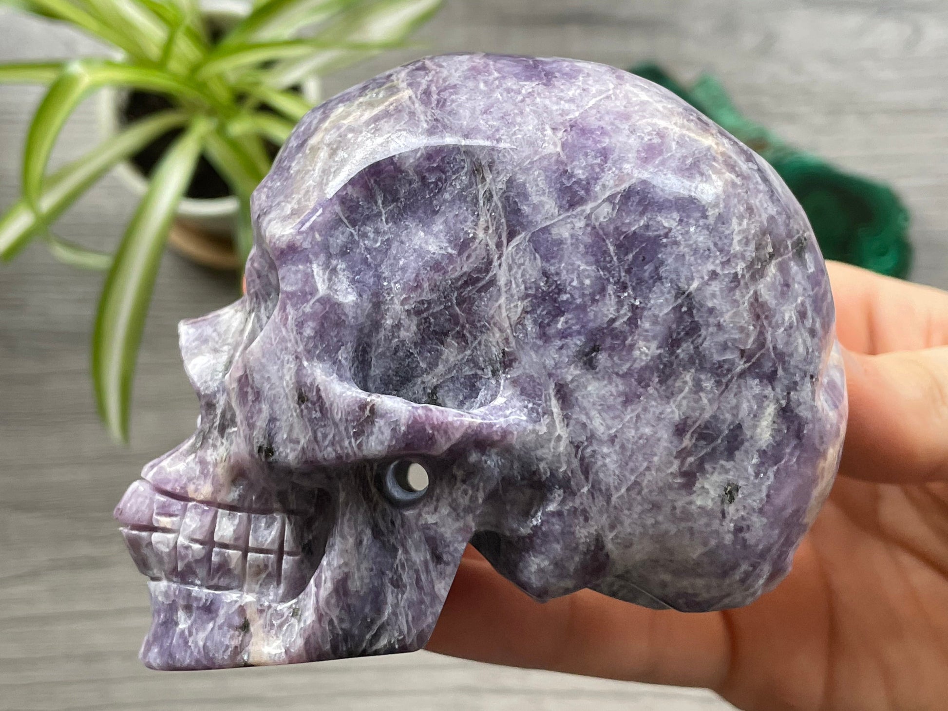 Lepidolite Crystal Skull .5kg - The Wandering Fox Emporium, Your Metaphysical Store