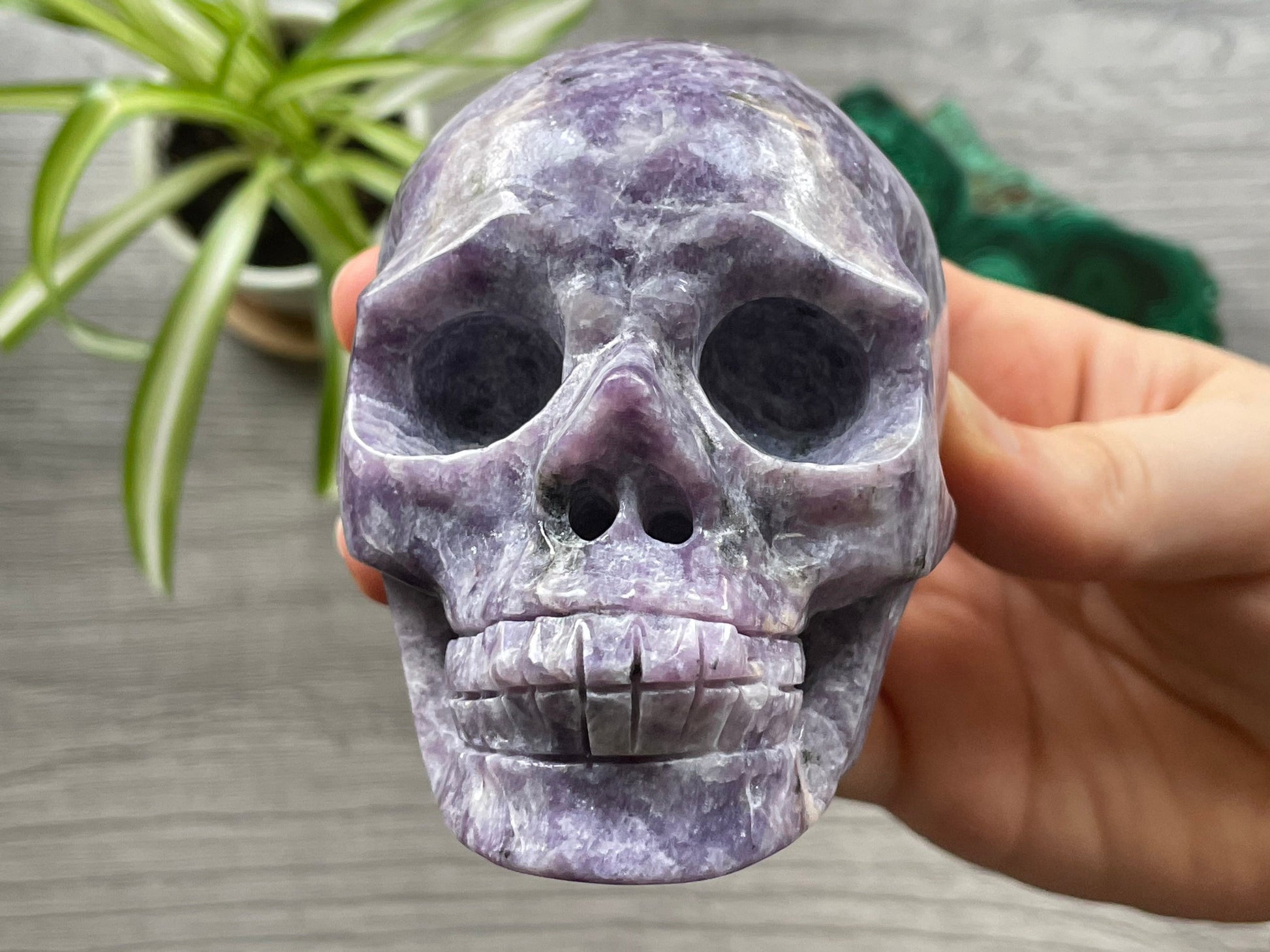 Lepidolite Crystal Skull .5kg - The Wandering Fox Emporium, Your Metaphysical Store front