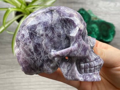 Lepidolite Crystal Skull .5kg - The Wandering Fox Emporium, Your Metaphysical Store side