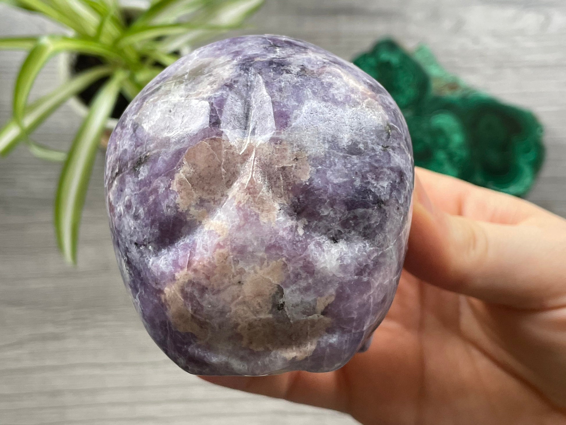 Lepidolite Crystal Skull .5kg - The Wandering Fox Emporium, Your Metaphysical Store back