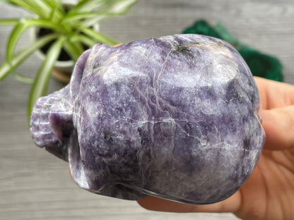 Lepidolite Crystal Skull .5kg - The Wandering Fox Emporium, Your Metaphysical Store top