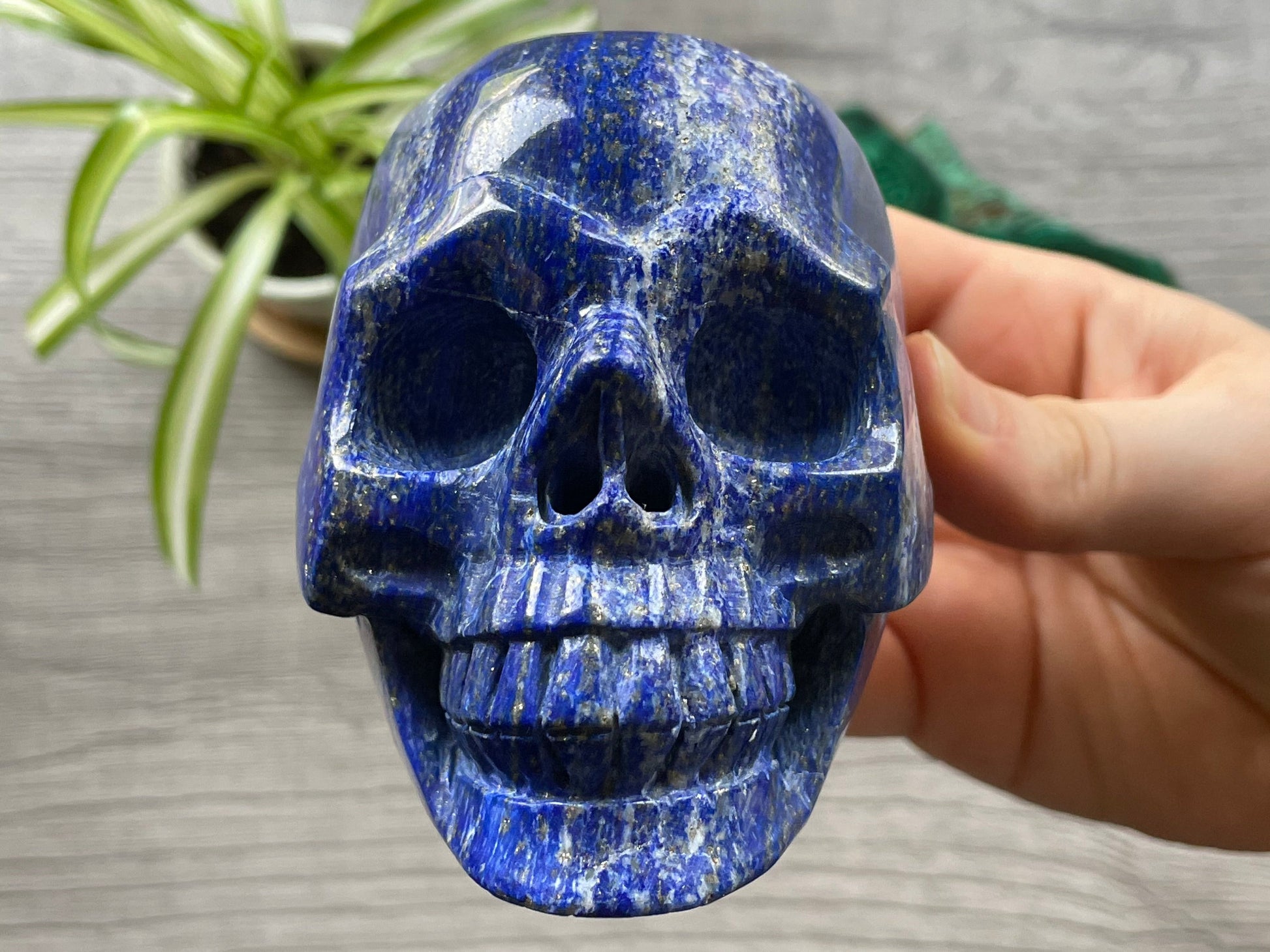 Lapis Lazuli Crystal Skull .85kg - The Wandering Fox Emporium, Your Metaphysical Store front