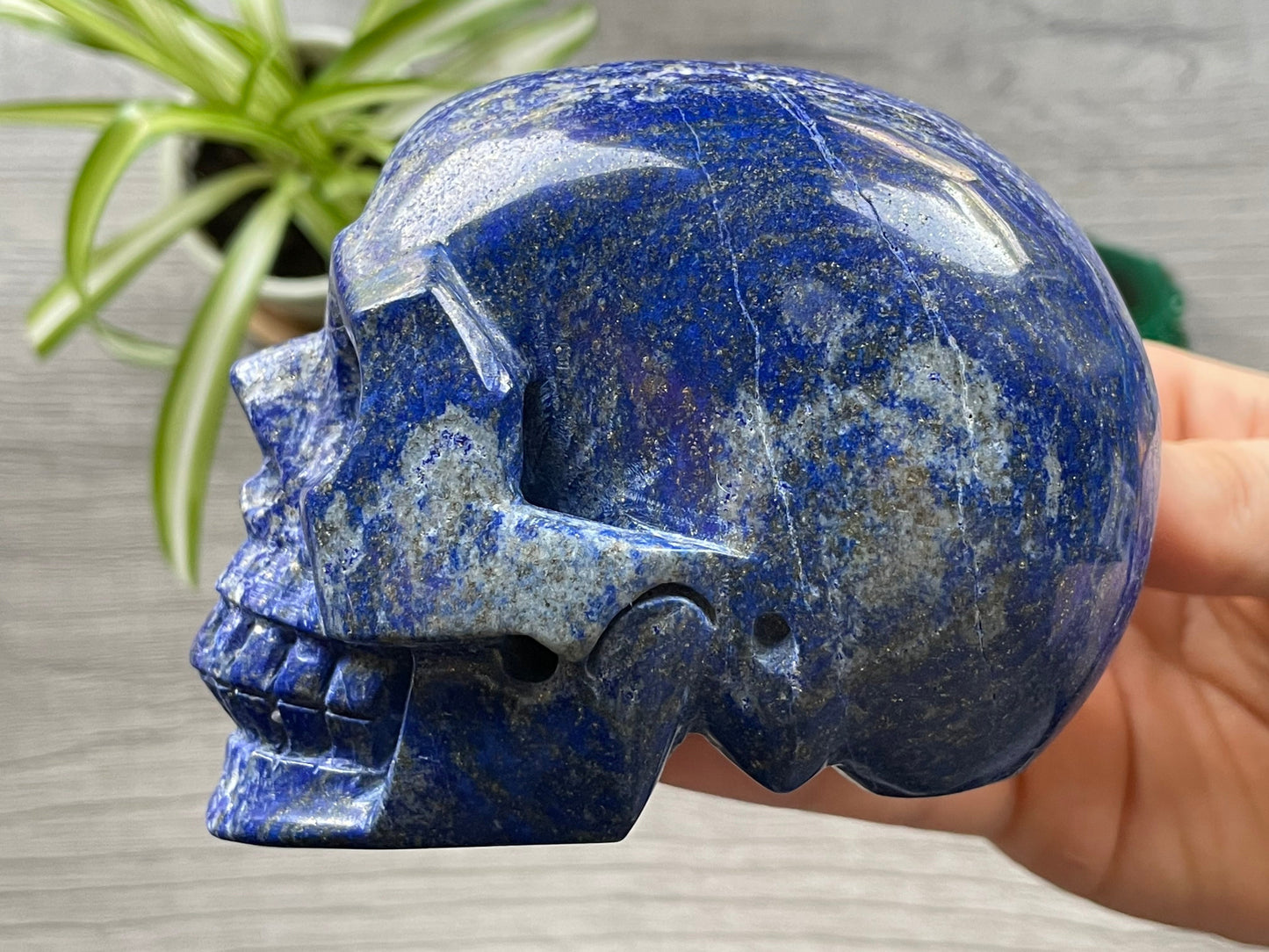 Lapis Lazuli Crystal Skull .85kg - The Wandering Fox Emporium, Your Metaphysical Store side