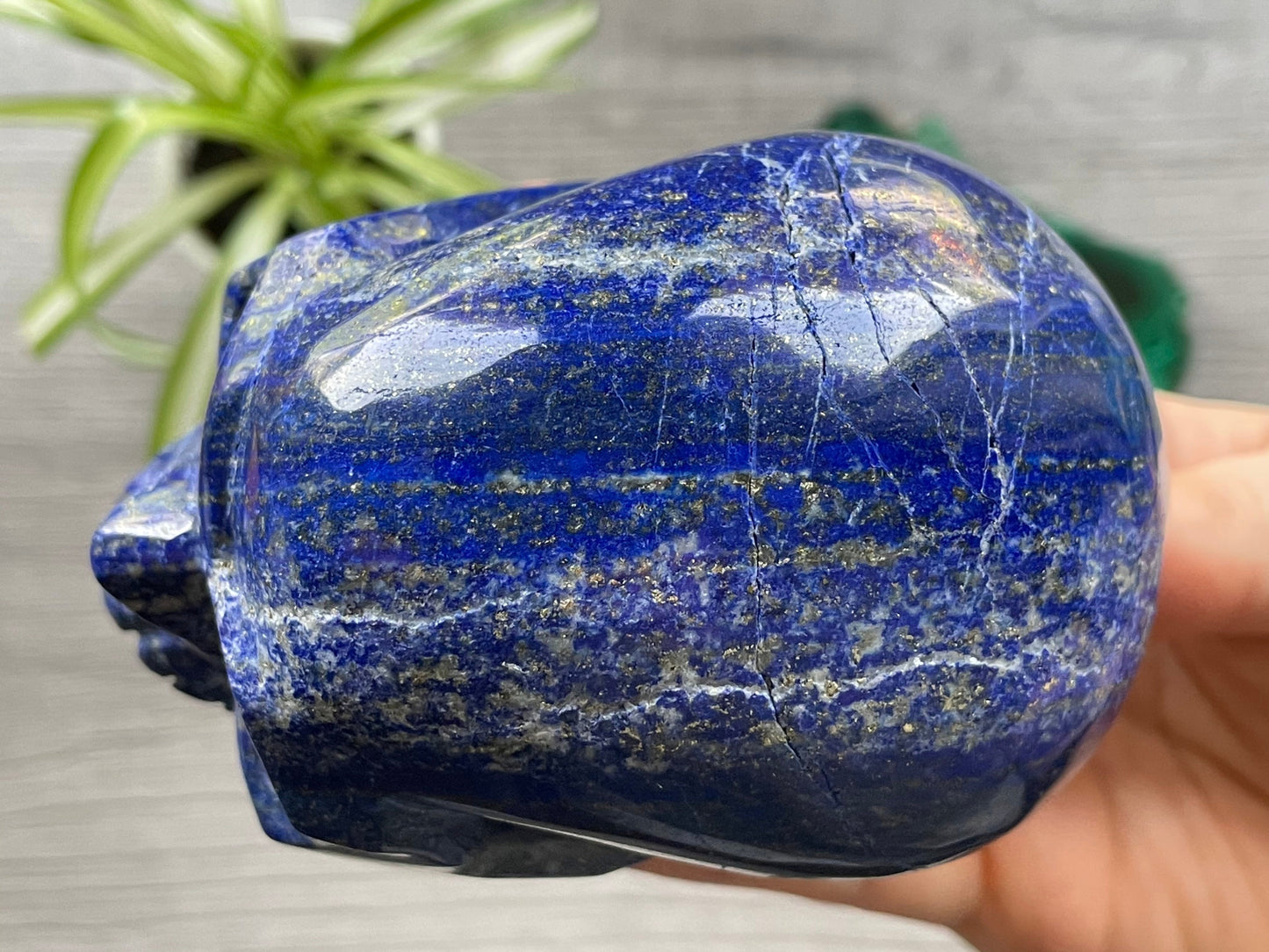 Lapis Lazuli Crystal Skull .85kg - The Wandering Fox Emporium, Your Metaphysical Store top