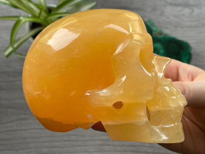 Orange Calcite Calcite Skull .85kg - The Wandering Fox Emporium, Your Metaphysical Store side 2