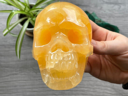 Orange Calcite Calcite Skull .85kg - The Wandering Fox Emporium, Your Metaphysical Store front