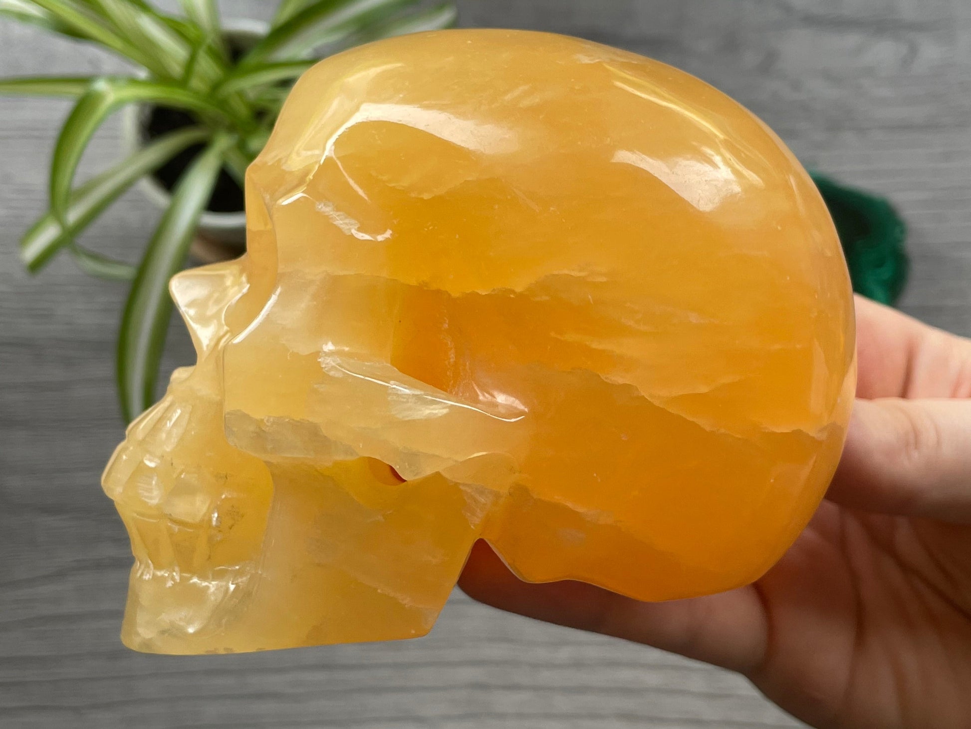 Orange Calcite Calcite Skull .85kg - The Wandering Fox Emporium, Your Metaphysical Store