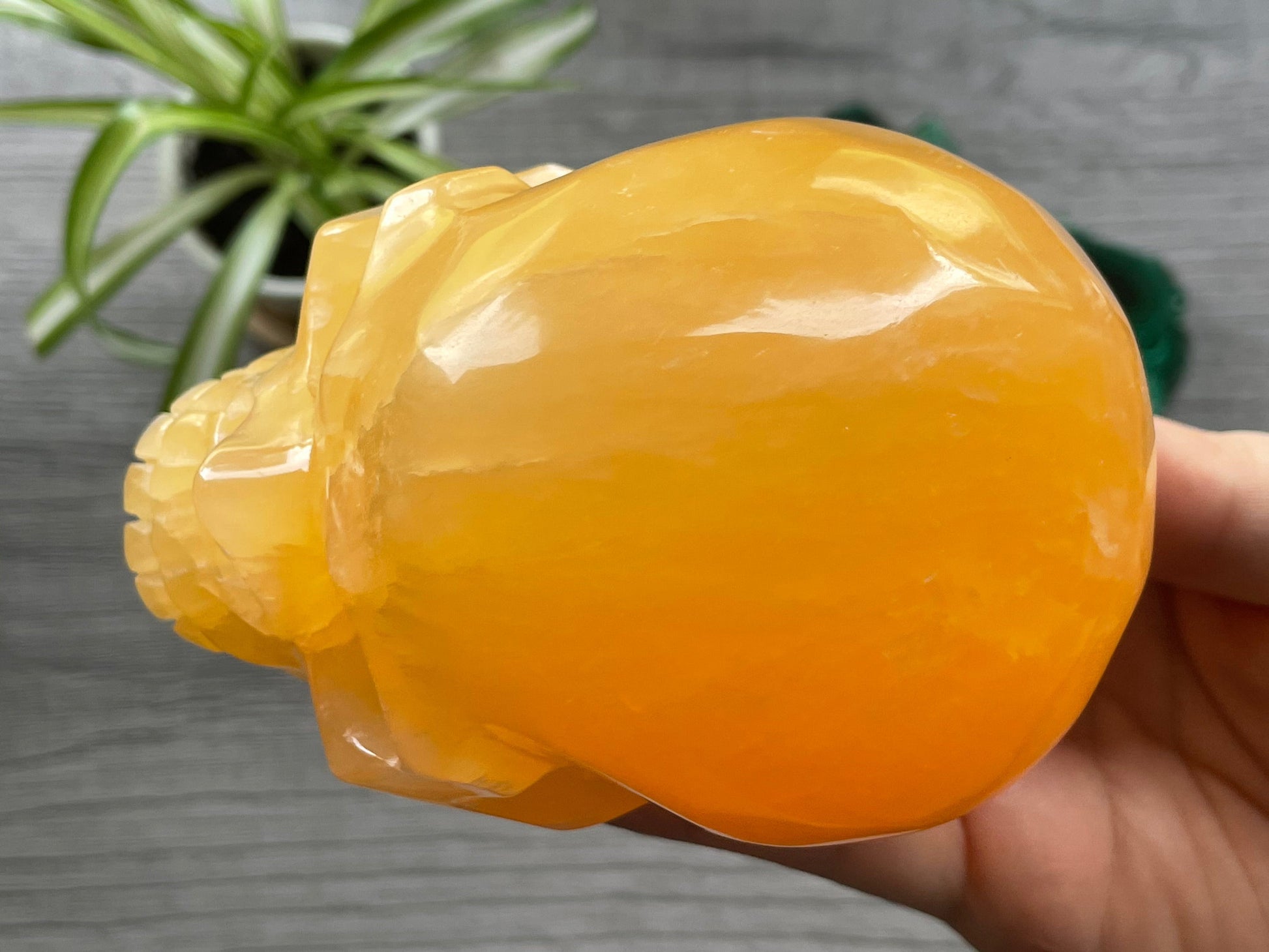 Orange Calcite Calcite Skull .85kg - The Wandering Fox Emporium, Your Metaphysical Store top