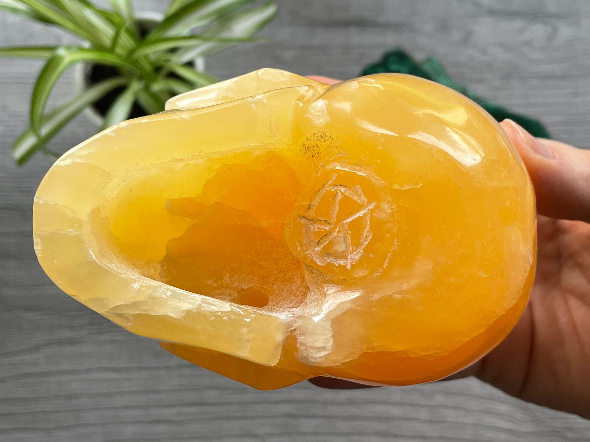 Orange Calcite Calcite Skull .85kg - The Wandering Fox Emporium, Your Metaphysical Store bottom