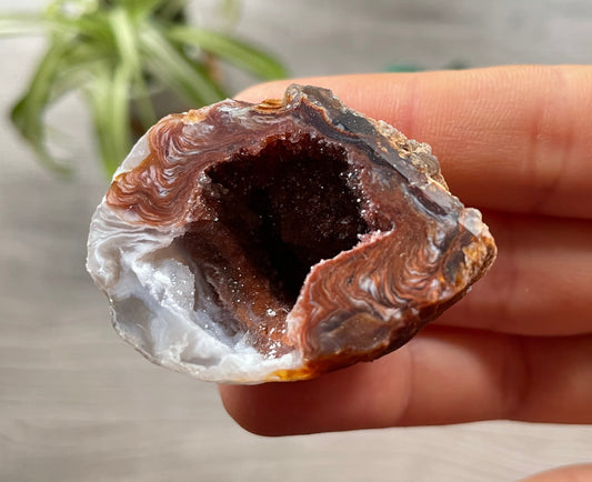 Natural Oco Geode Crystal - H