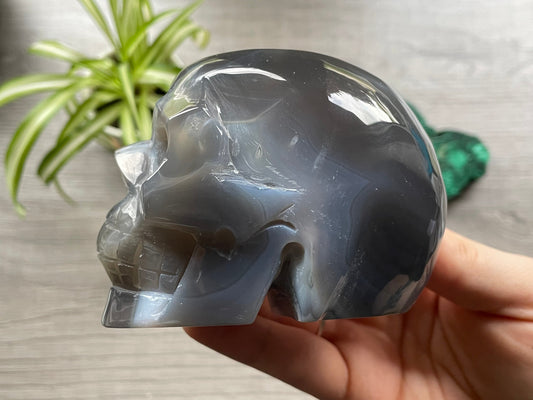 Natural Agate Crystal Skull (.55kg) - The Wandering Fox Emporium, Your Metaphysical Store