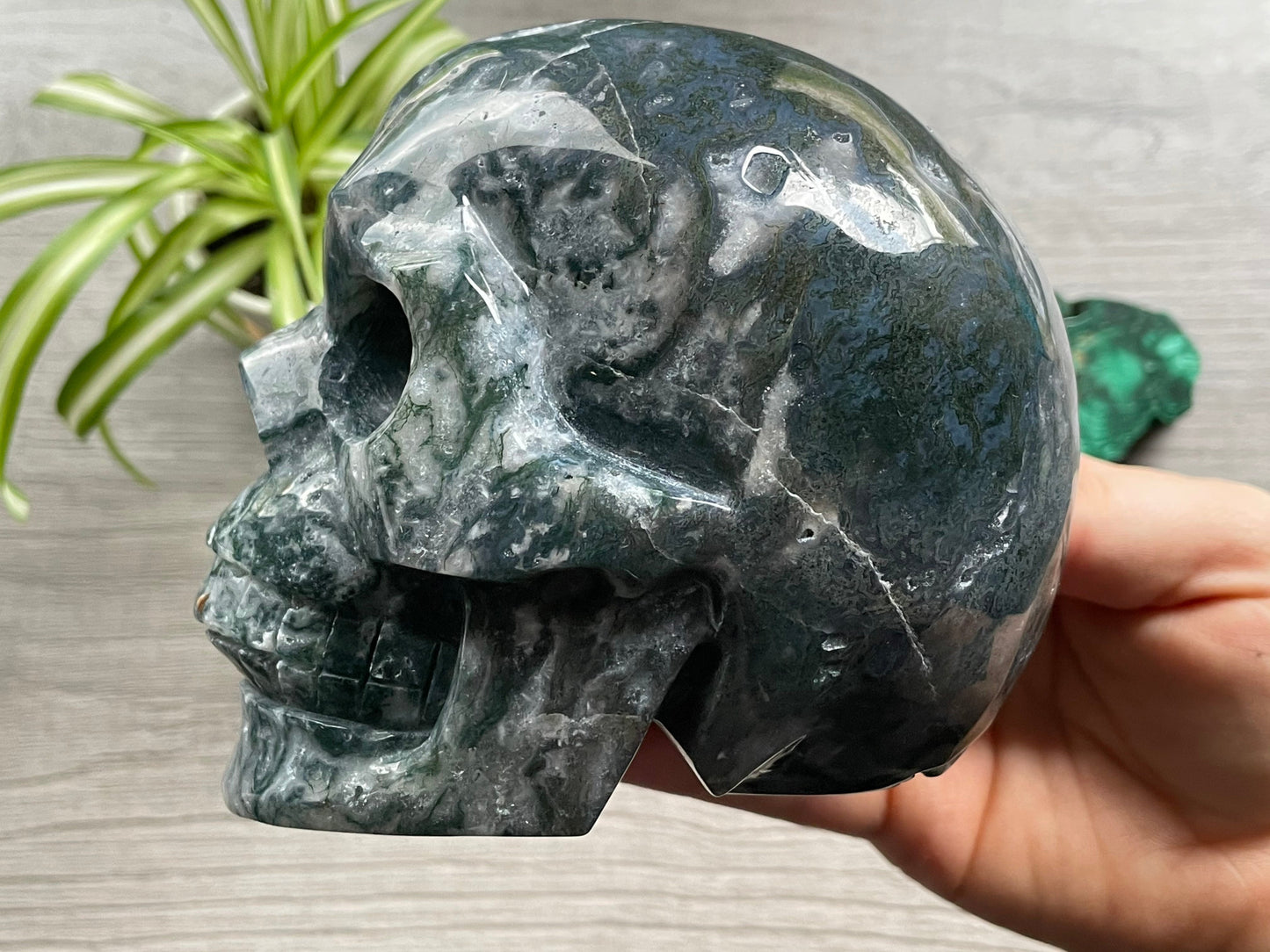 Moss Agate Skull (1.35kg) - The Wandering Fox Emporium, Your Metaphysical Store side